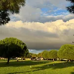 Tt Novigrad Istria