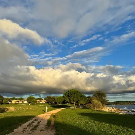Βίλα Tt Novigrad Istria